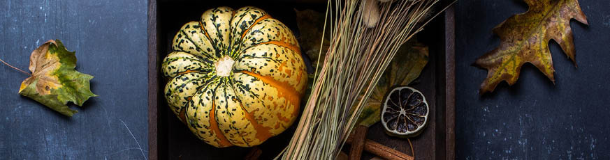 lifestyle-rezepte-header-873x230-55666
