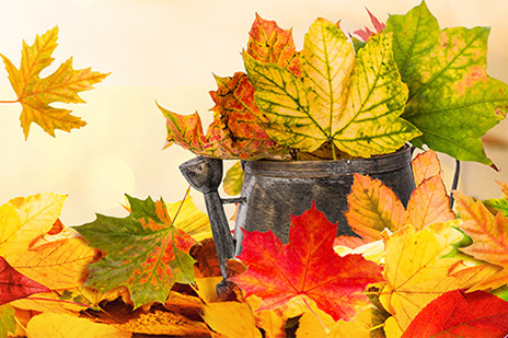 basteln-im-herbst-464x309.jpg