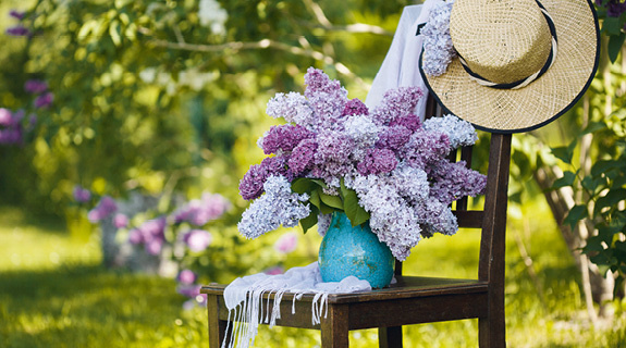 blog-575x320-aufm-aussaatkalender-78366-0