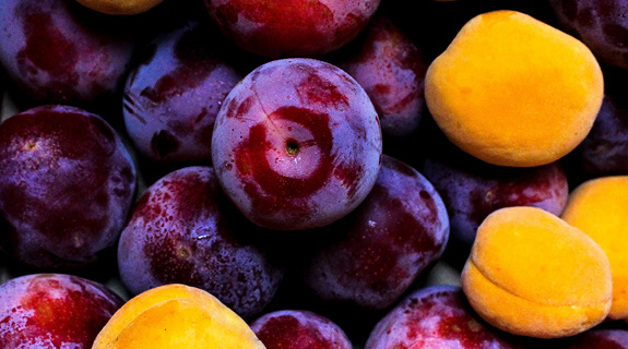 saisonkalender-obst-herbst-lifesytle-575x320-51805