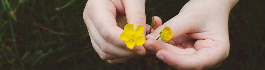 blog-873x230-header-schule-1-94373-0