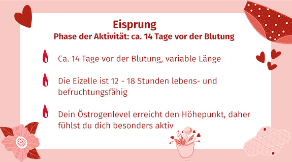 Eisprung-65087-1