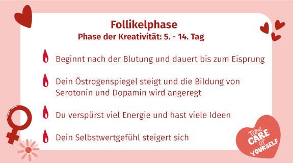 Follikelphase-65086-1