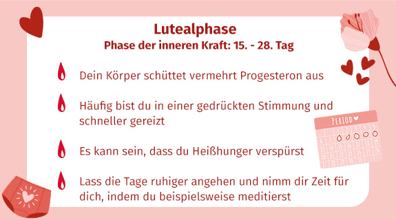 Lutealphase-65088-1