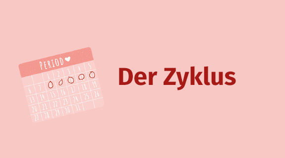 periodenguide-uebersicht-zyklus-575x320px-65625