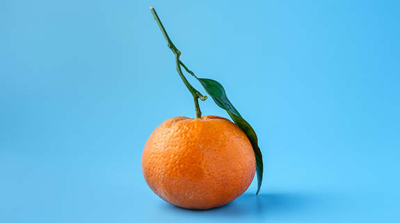 lifestyle-mandarine-mit-blatt-blauer-hintergrund-04-24-96430-0