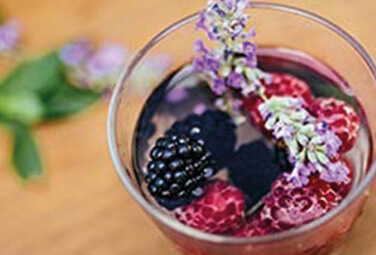 lavendel-beeren-shrub-sommergetraenk-inspiration-376x255-23997