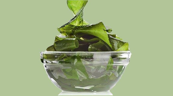 fasziniren-alge-im-glas-hintergrund-meer-lifestyle-575x320_03-51920-1