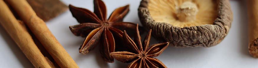 lifestyle_Aroma_Header_873x230-58538-1