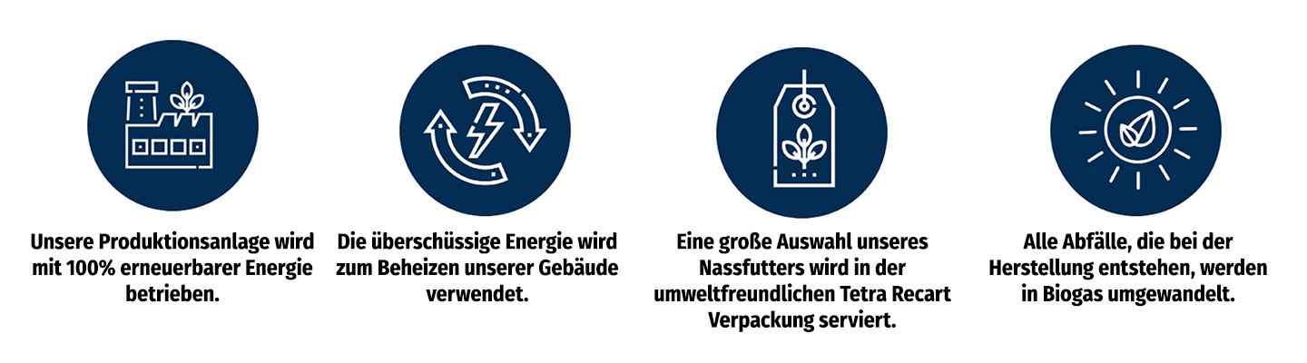 Bozita Icons plus Erklärtext