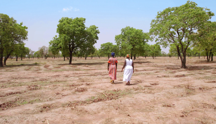 Burts Bees Projekt Shekeeper