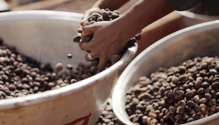 Burts Bees Ressourcen schonen