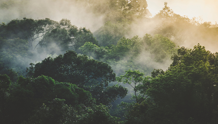 mueller_uebergrandel_oroverde_708x405_ka25