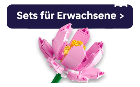 5er-Kombibanner_Adults_484x303