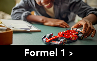 Multi-Image_F1_384x240