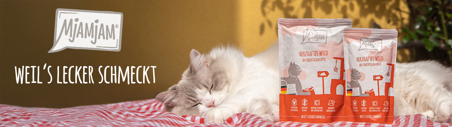 Banner zusehen mit katze und produkt