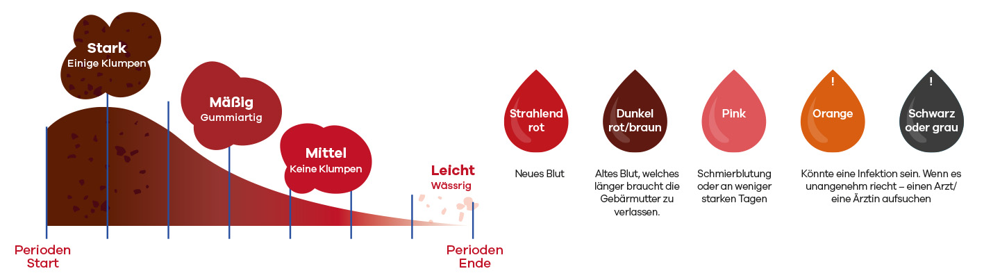 PG388346_FSh_DE_FS_JAS25_Mueller_Banner_ALW_Bannerformate_Booklet_School_Sample_1440x400px