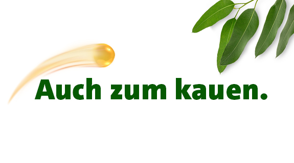 2er Kombi GDText_575x320px