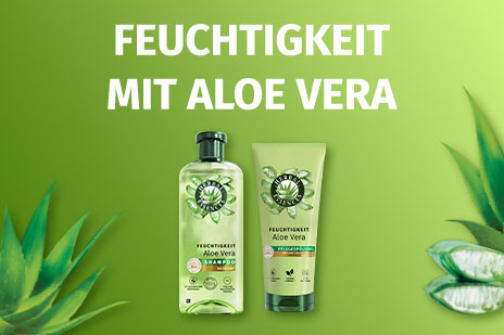 PG386271_FSh_DE_FS_AMJ25_Mueller_Rich_Content_Herbal_Essences_Markenwelt__Teaser_Aloe_464x309