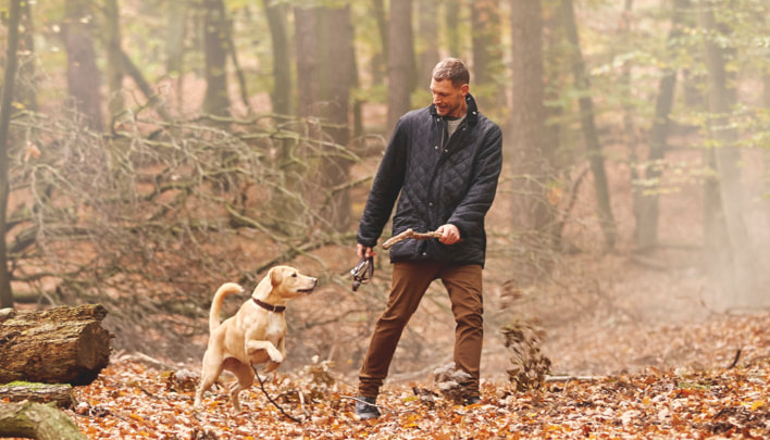 Person spielt mit einem Hund im herbstlichen Wald und wirft einen Stock