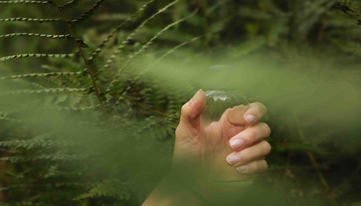 Hand hält ein kleines Glas zwischen Farnblättern in natürlicher Umgebung