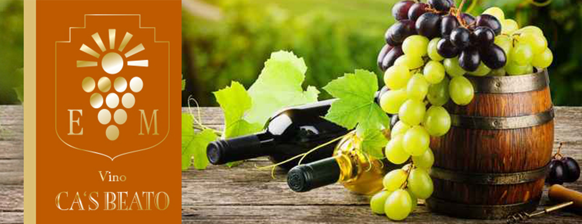 mueller-wein-1170x450-20341