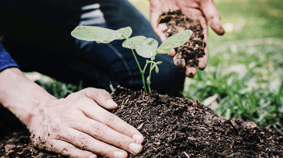 drogerie-nivea-verantwortungsbewusste-beschaffung-575x320px-55403