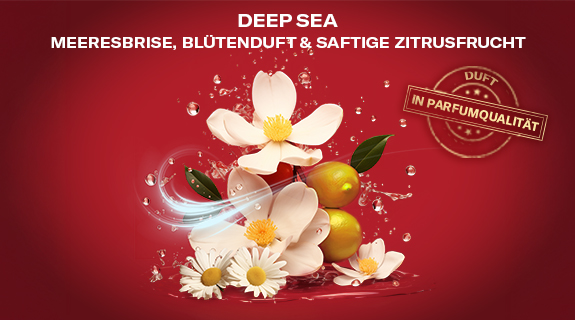 OS_Econtent_JFM25_Deepsea_SI2_Scent_575x320px