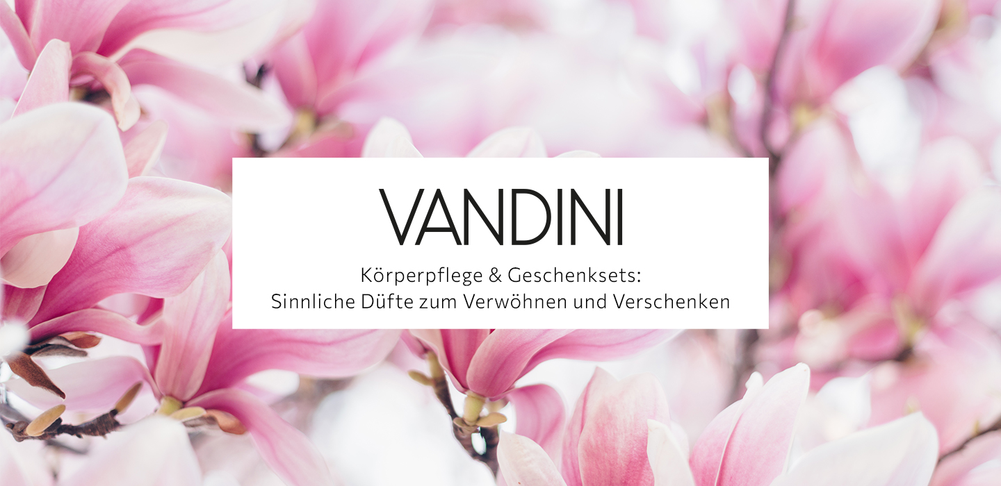 2025_05_269_Vandini_Müller_Markenwelt_Startseite_Sleider