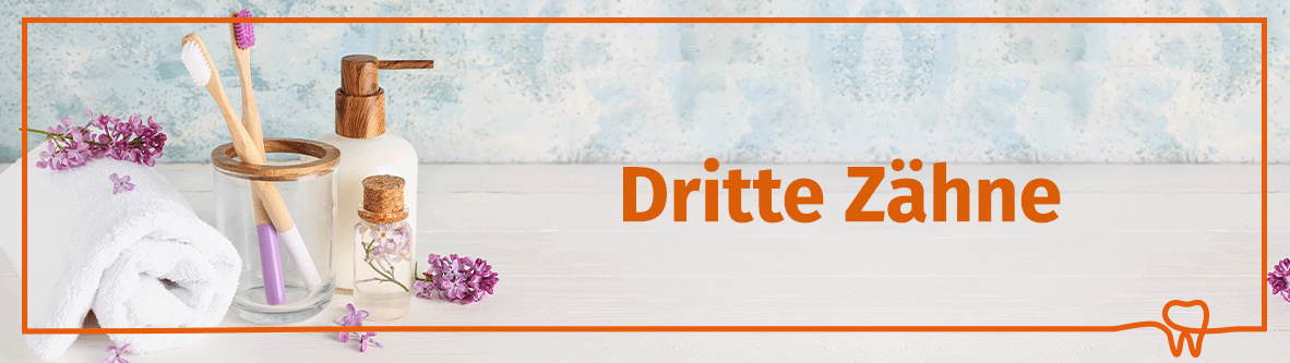 drogerie-kategorie-dritte-zaehne-1182x333-85064-0