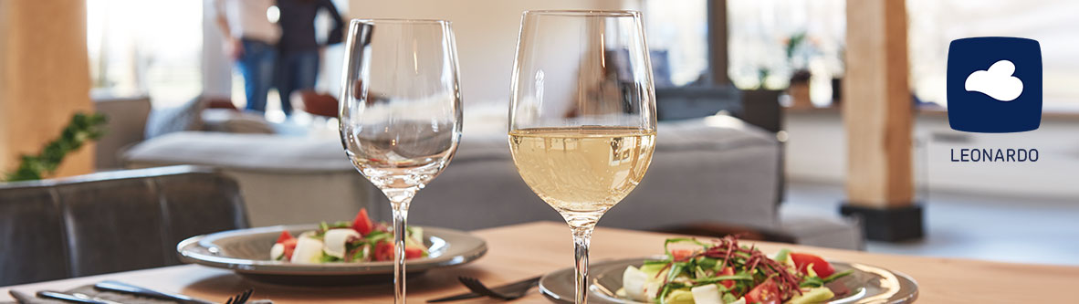 Leonardo_banner_1182x333_4-62063-1