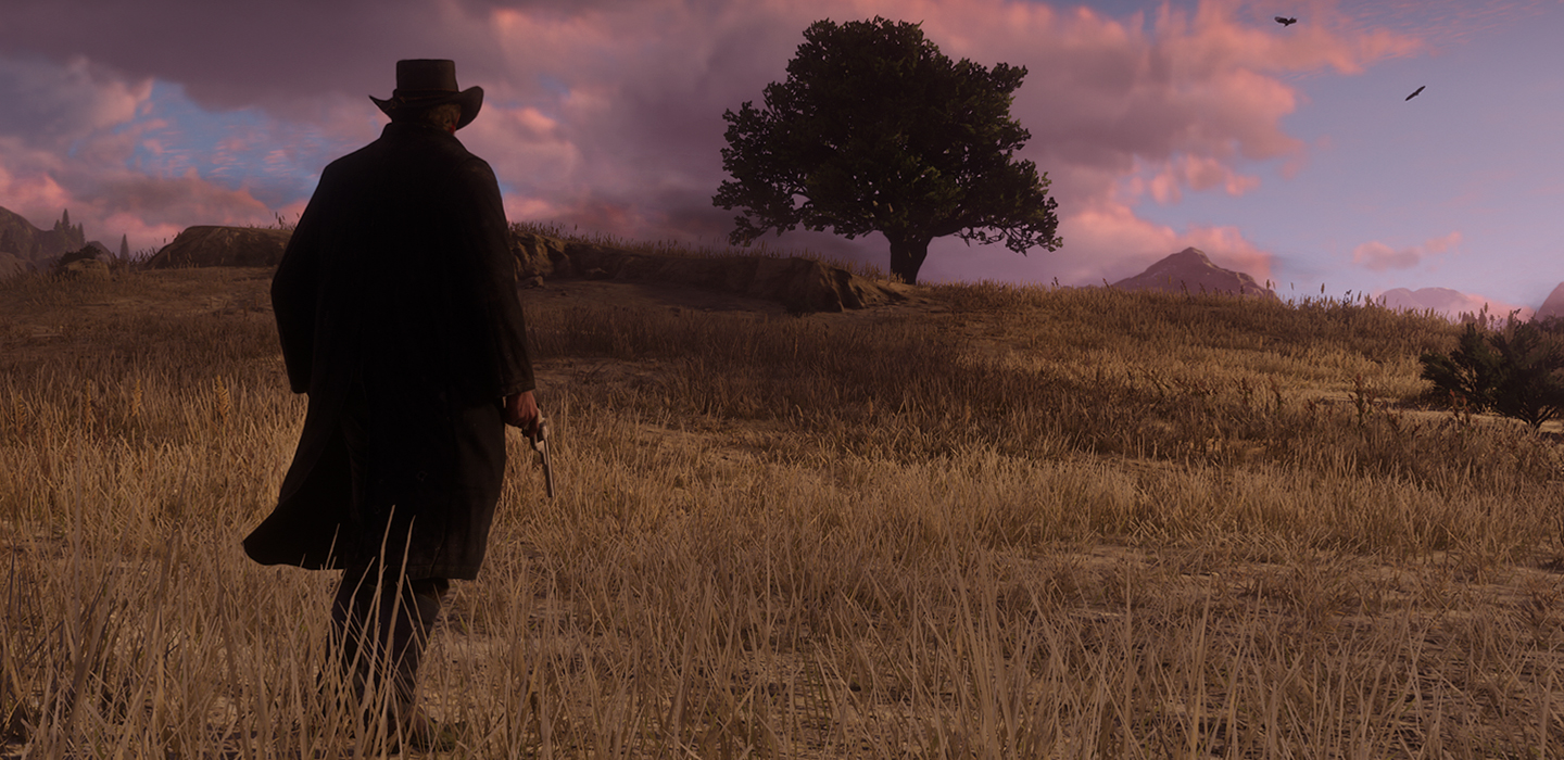 Bild mit Szene aus RDR2 Cowboy auf Feld