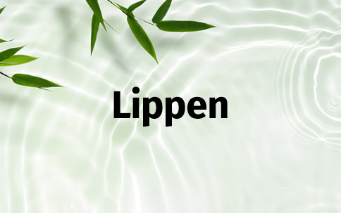Lippen Make-Up Naturkosmetik