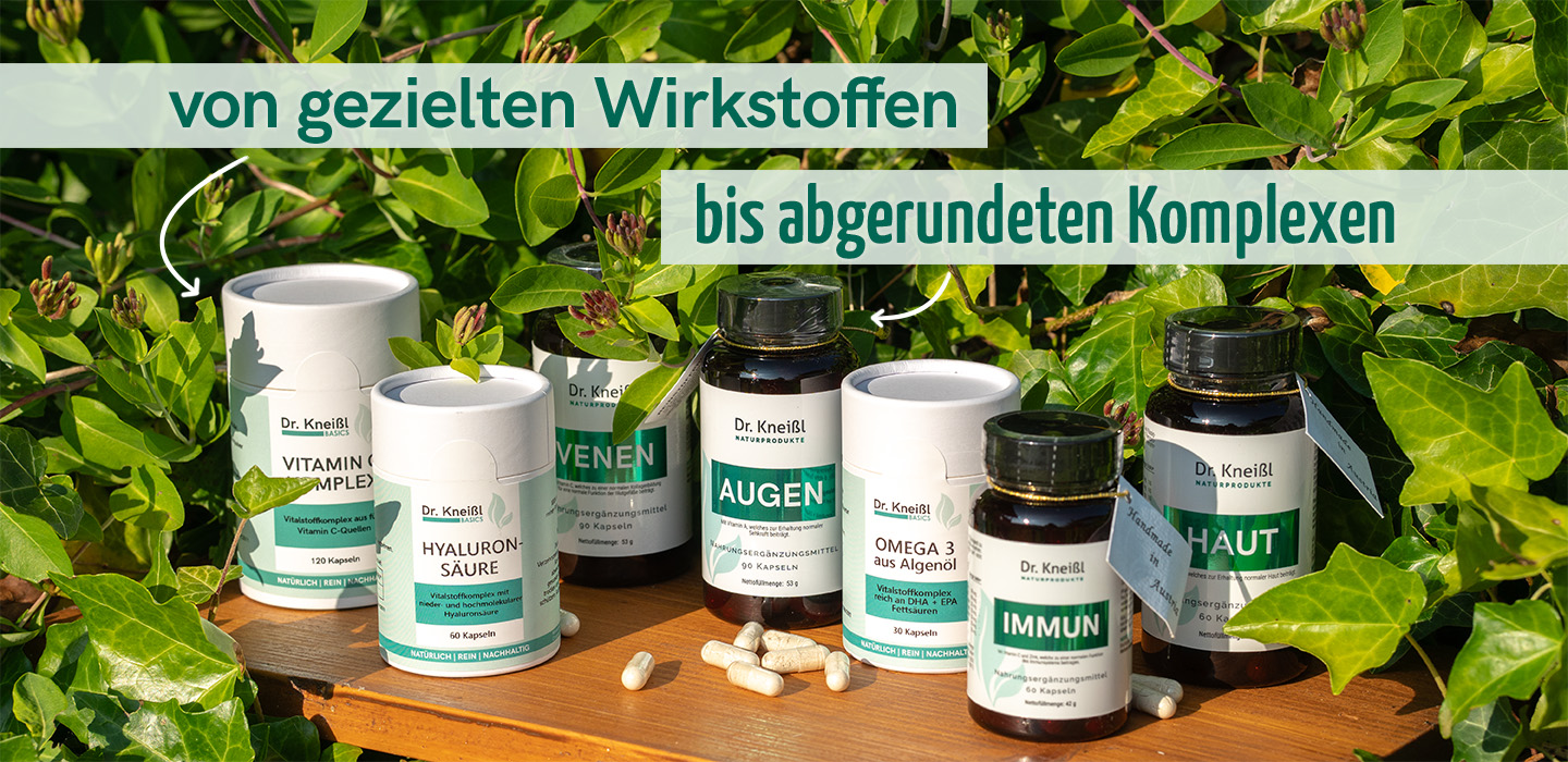 Dr-Kneissl-info-bild