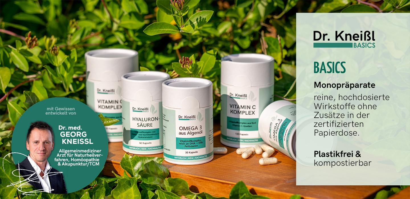 Dr-Kneissl-karusell-1