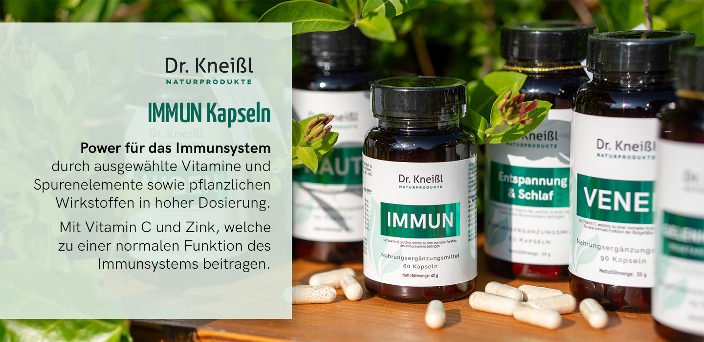 Dr-Kneissl-karusell-2