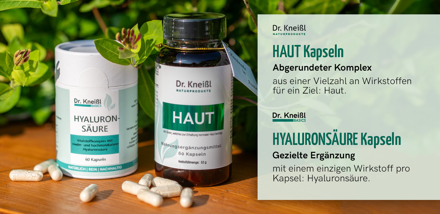 Dr-Kneissl-karusell-3