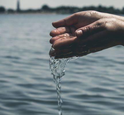 Entgiften-Entschlacken