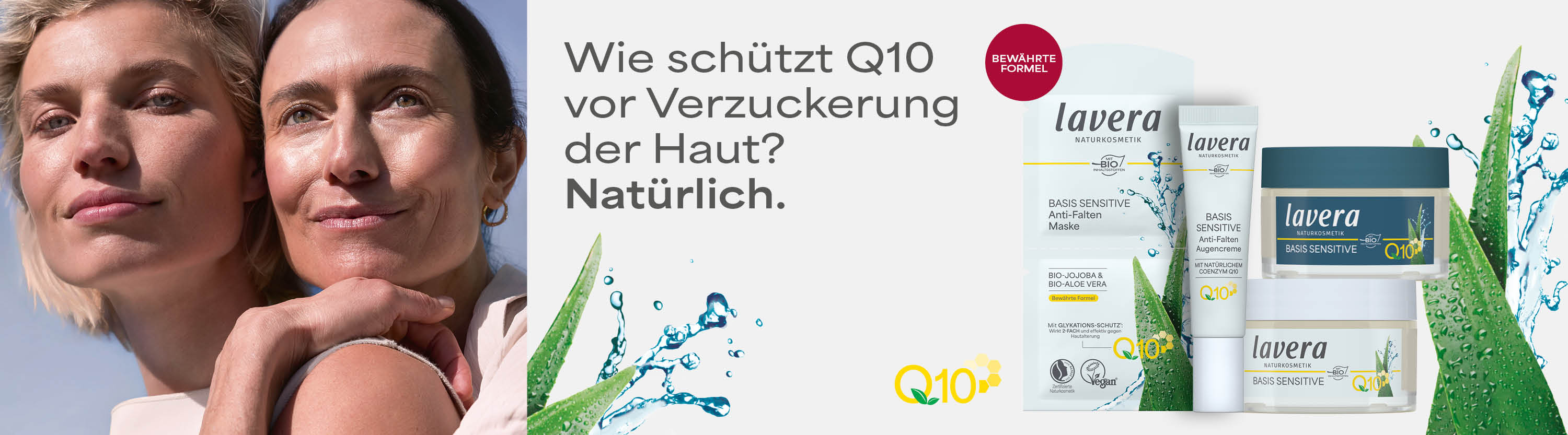 lav_Müller_Banner_Q10_1440x400px