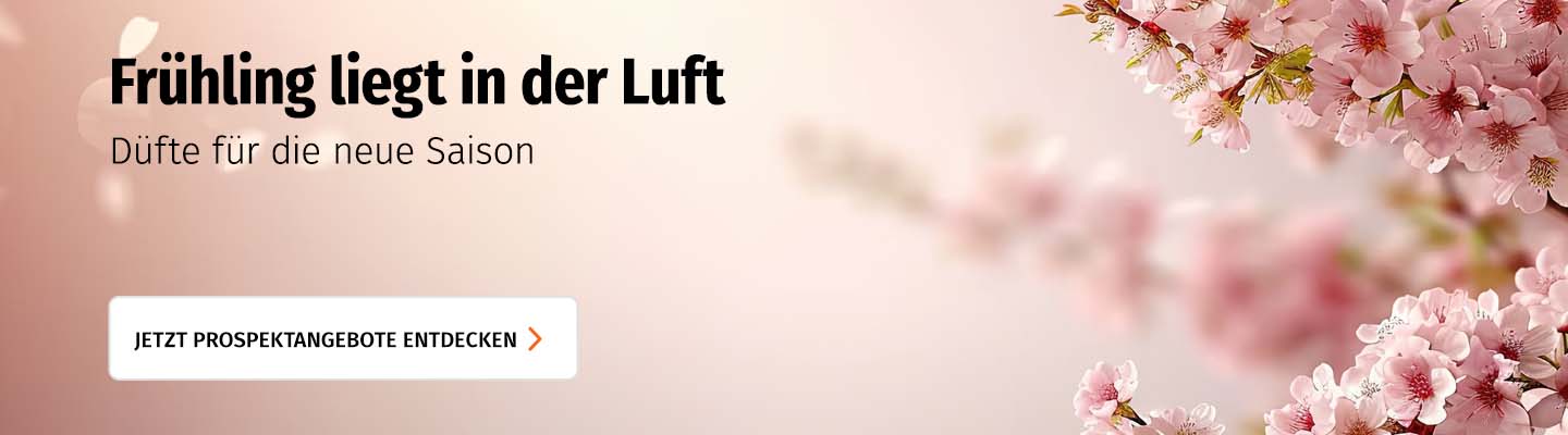Themenbanner Prospektangebote PF09