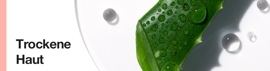 clinique-trockene-Haut_873x230-50069-1