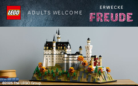 Banner Lego Adults Erwecke Freude