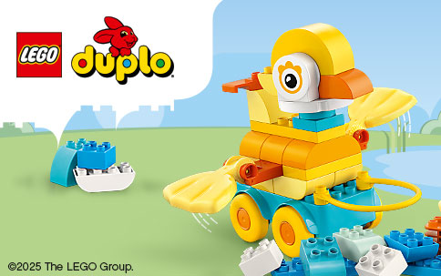 Banner Lego Duplo