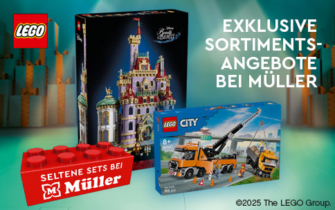 LEGO_SelteneSets_DEZ_Mueller_SmallKombiBanner_484x303