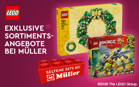 LEGO_SelteneSets_0226_Mueller_SmallKombiBanner_484x303