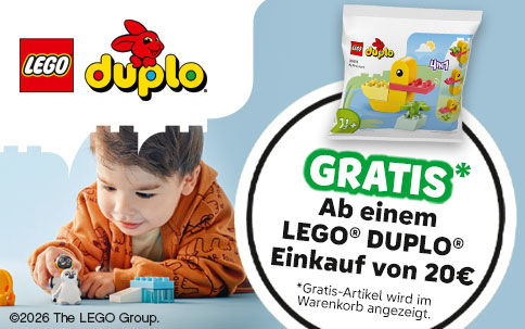 LEGO Duplo Kombibanner