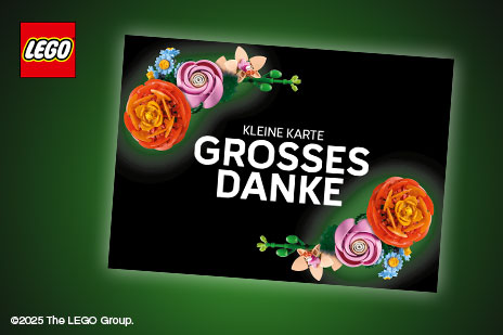 Banner mit LEGO Dankeskarte Kleine Karte Grosses Danke