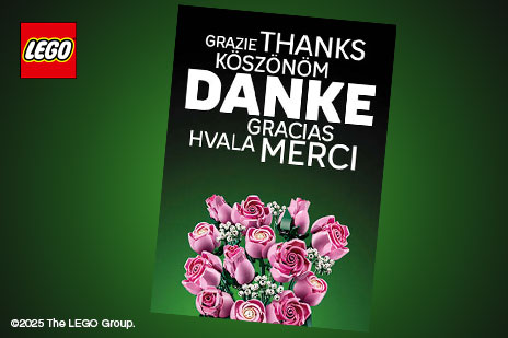 Banner mit LEGO Dankes Karte Grazie Thanks