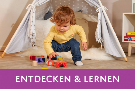 eichhorn_lernen-entdecken_3er-kombi-banner