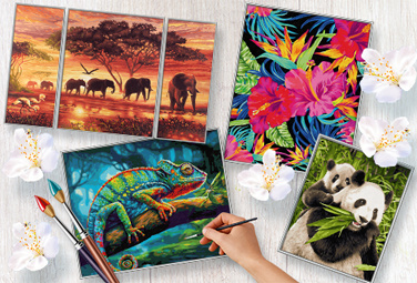 rz-banner-muller-376x255px-blumen-tiere-2024-06-05-96278-0